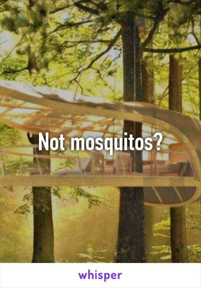 Not mosquitos?