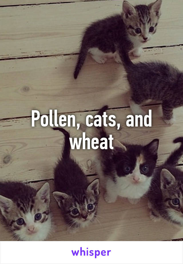 Pollen, cats, and wheat