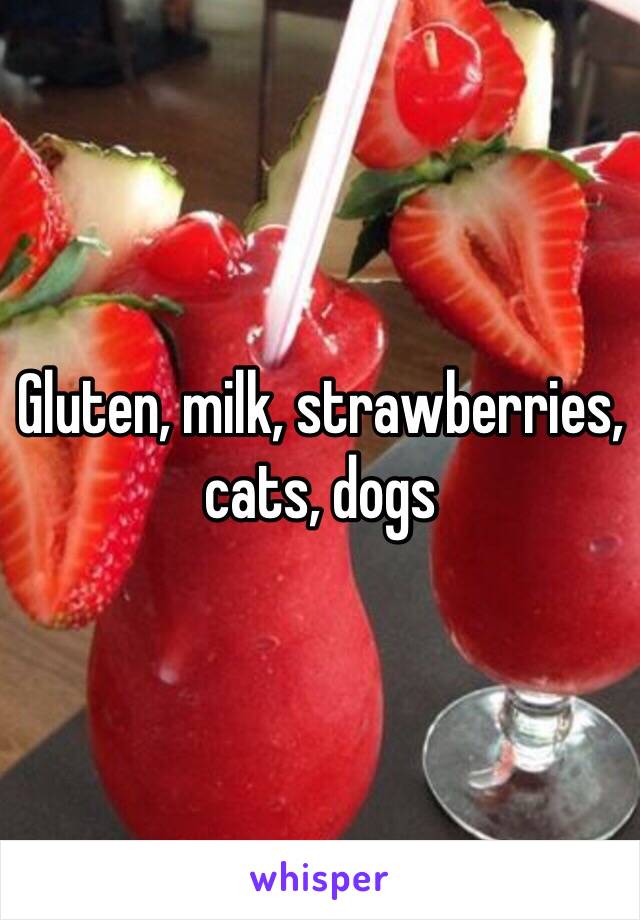 Gluten, milk, strawberries, cats, dogs