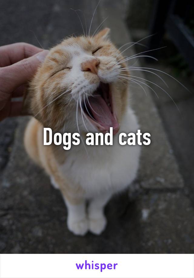 Dogs and cats