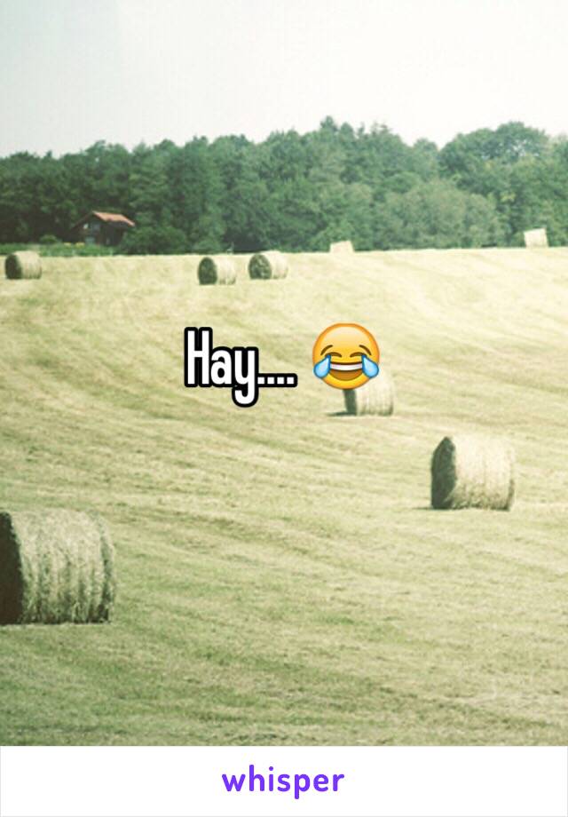 Hay.... 😂
