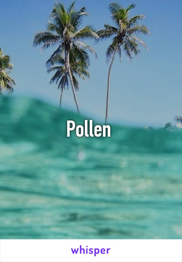 Pollen 