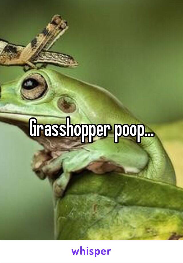 Grasshopper poop...