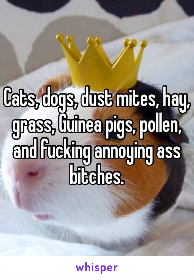 Cats, dogs, dust mites, hay, grass, Guinea pigs, pollen, and fucking annoying ass bitches.