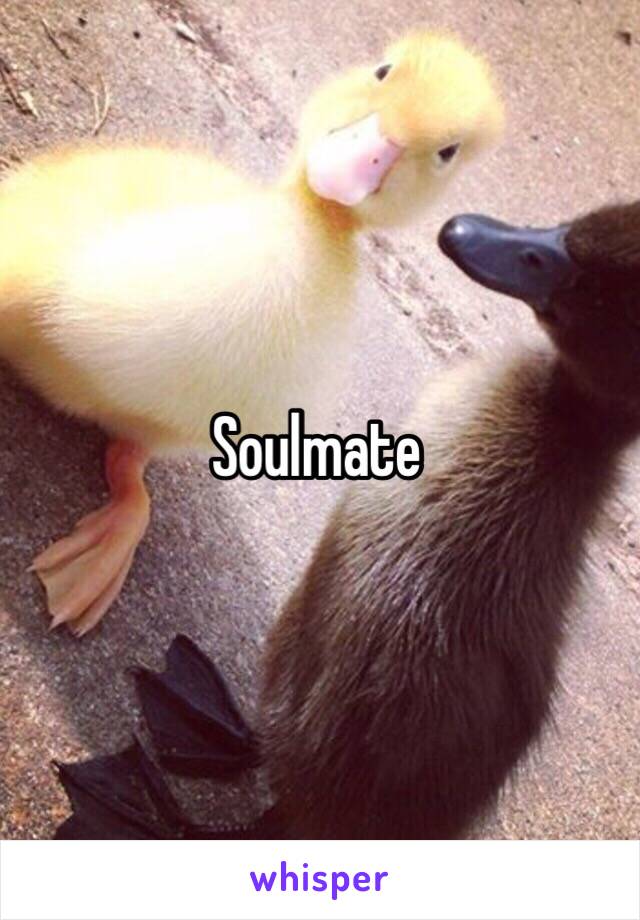 Soulmate