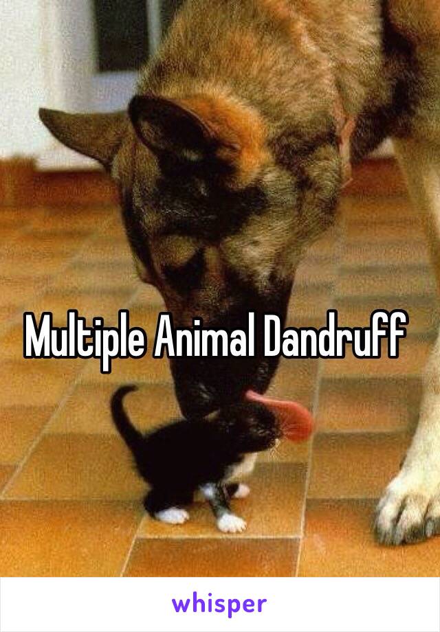 Multiple Animal Dandruff 