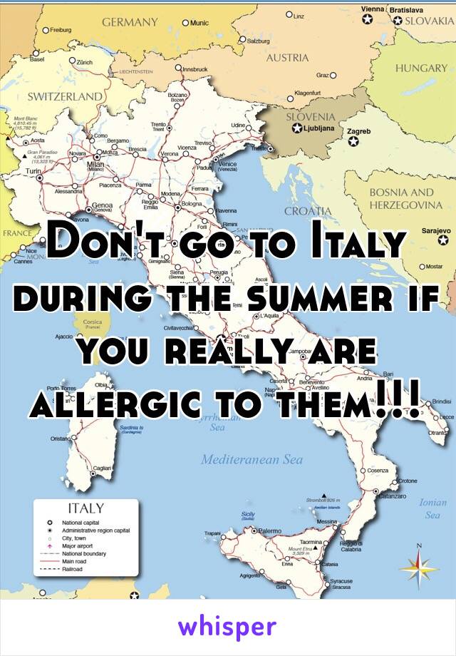 Don't go to Italy during the summer if you really are allergic to them!!! 