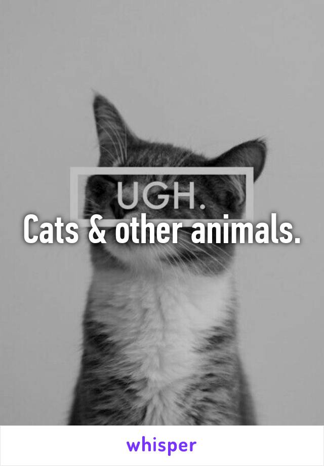 Cats & other animals.