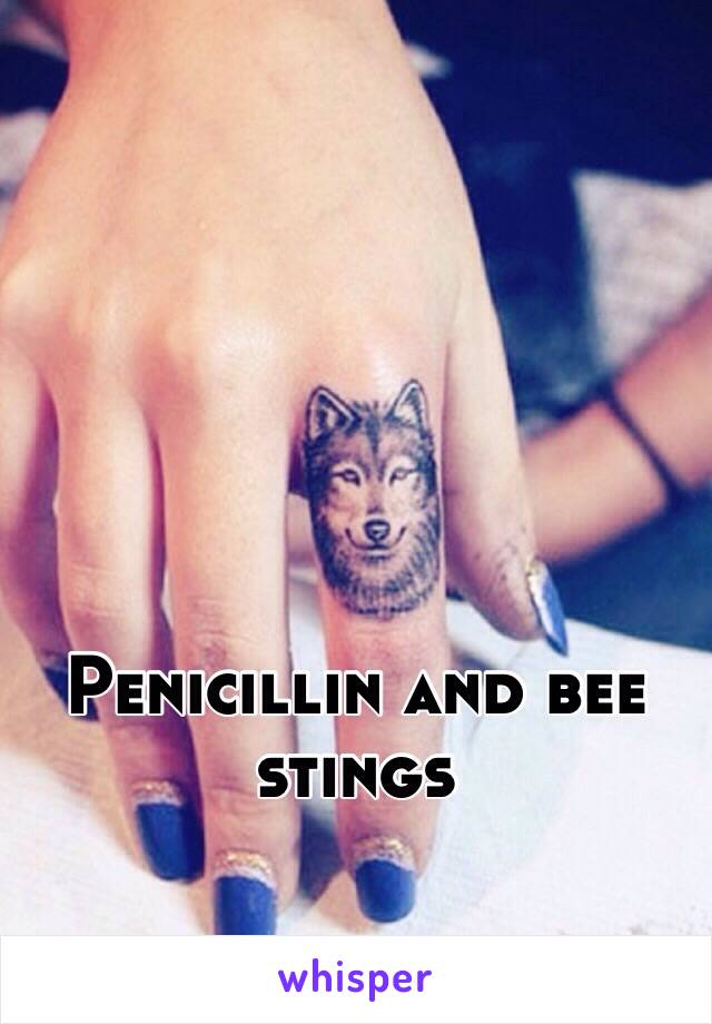 Penicillin and bee stings 