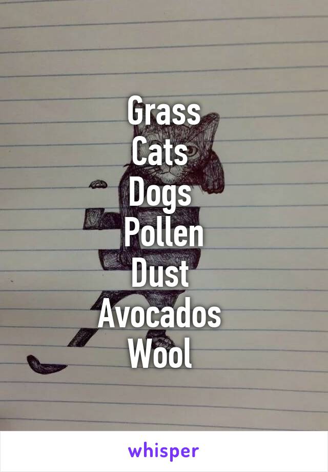 Grass
Cats 
Dogs 
Pollen
Dust 
Avocados 
Wool 