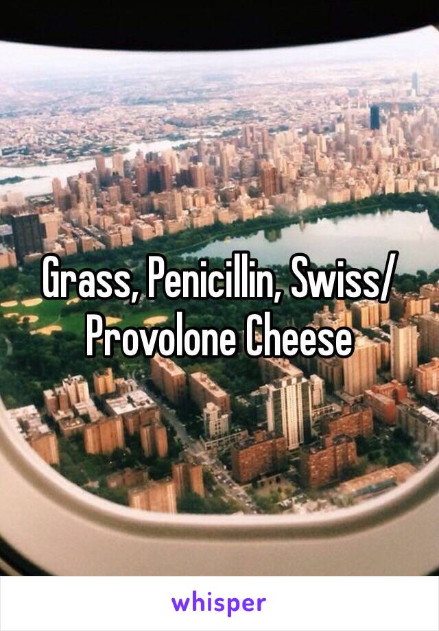 Grass, Penicillin, Swiss/Provolone Cheese