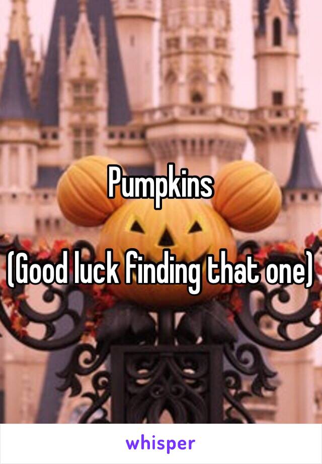 Pumpkins

(Good luck finding that one)