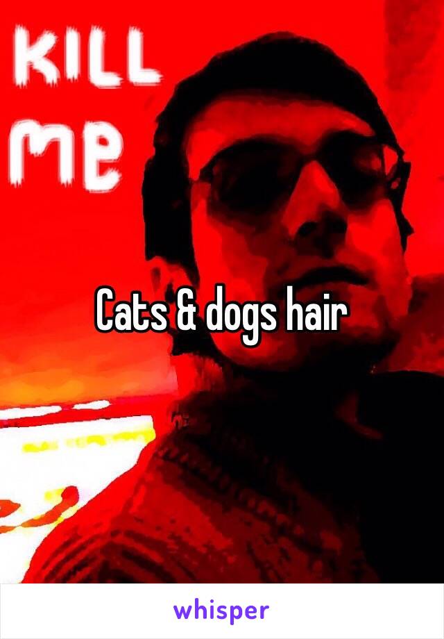 Cats & dogs hair