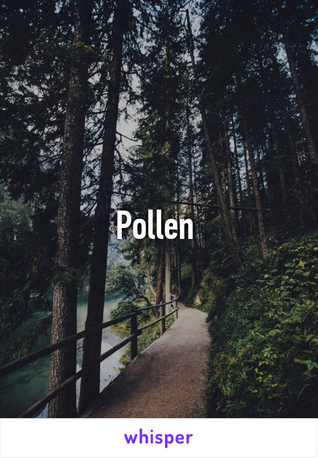 Pollen 