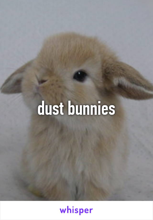 dust bunnies