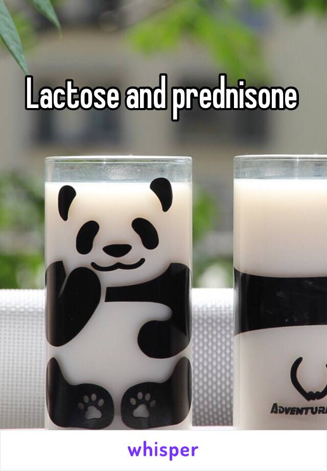 Lactose and prednisone 
