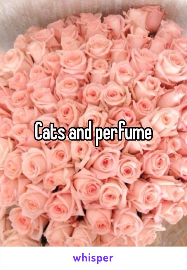 Cats and perfume