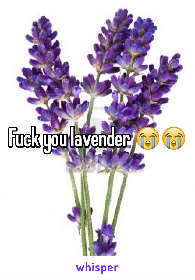 Fuck you lavender 😭😭