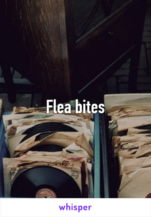 Flea bites