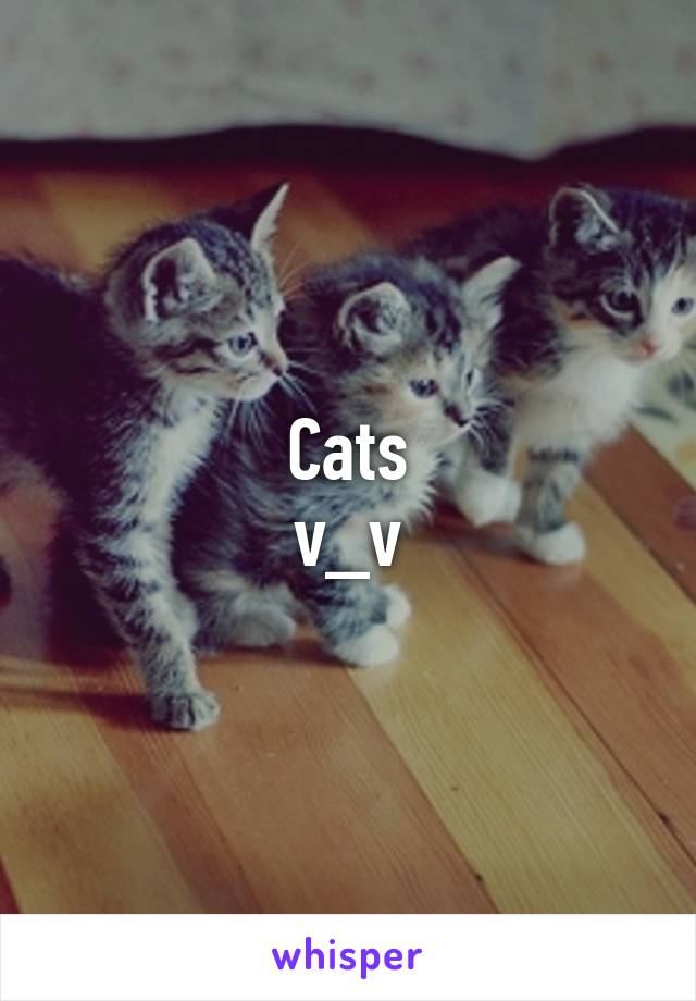 Cats
v_v