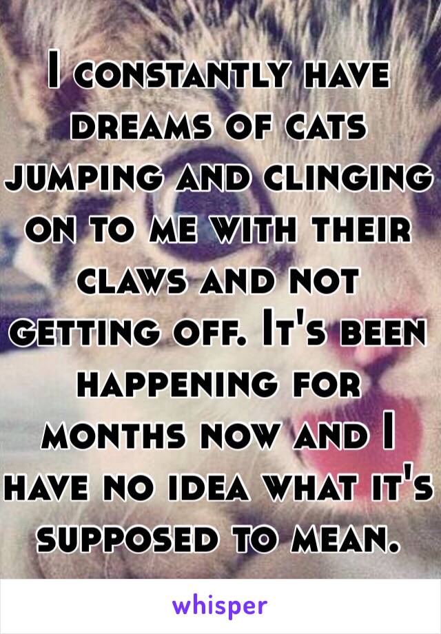 I constantly have dreams of cats jumping and clinging on to me with their claws and not getting off. It's been happening for months now and I have no idea what it's supposed to mean.