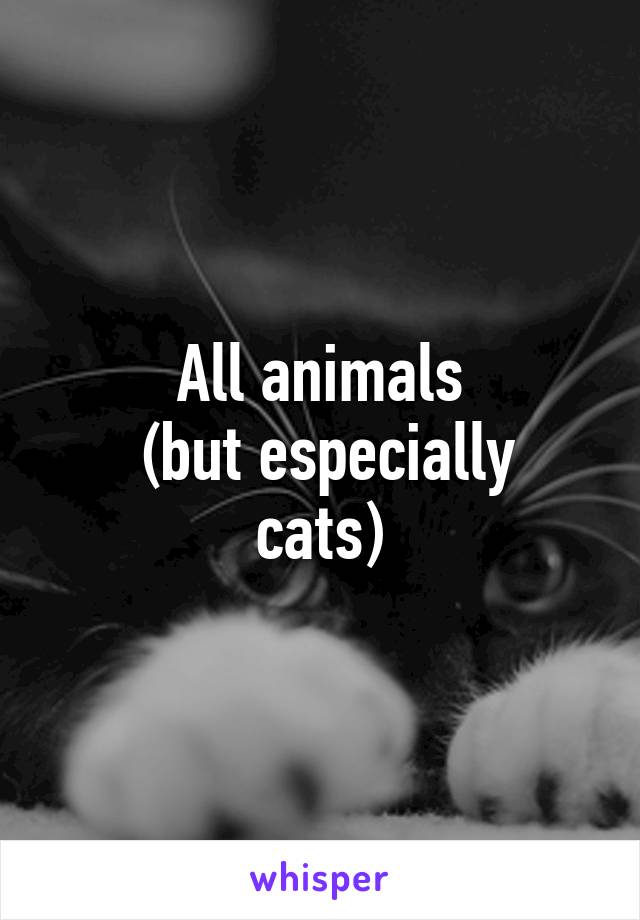 All animals
 (but especially cats)