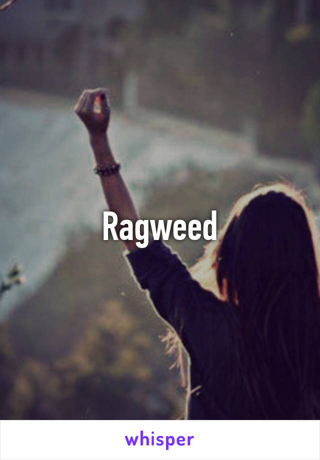 Ragweed