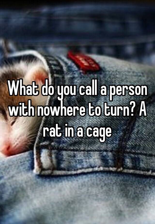 what-do-you-call-a-person-with-nowhere-to-turn-a-rat-in-a-cage