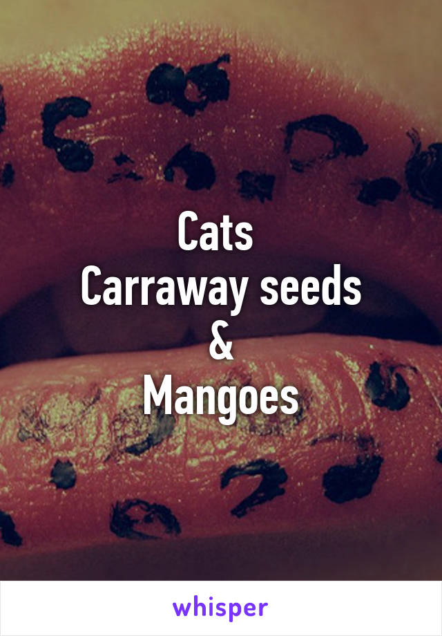 Cats 
Carraway seeds
&
Mangoes