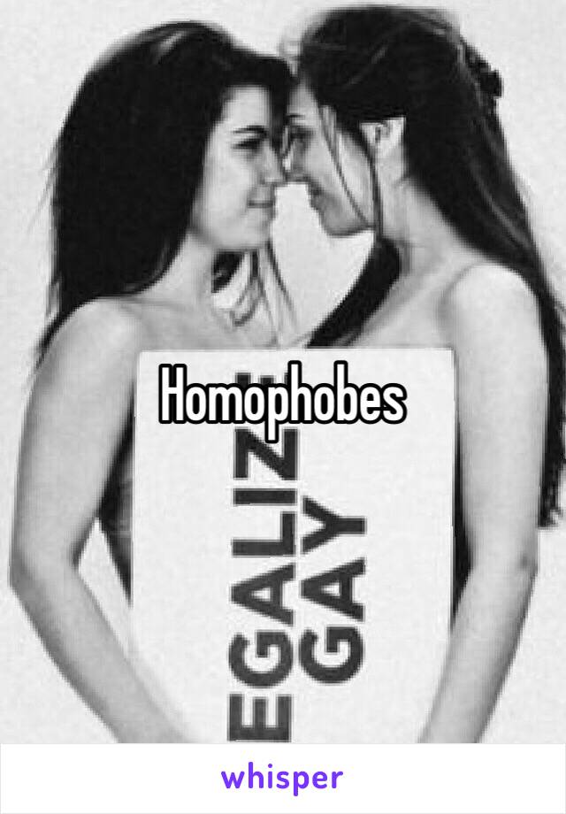 Homophobes 