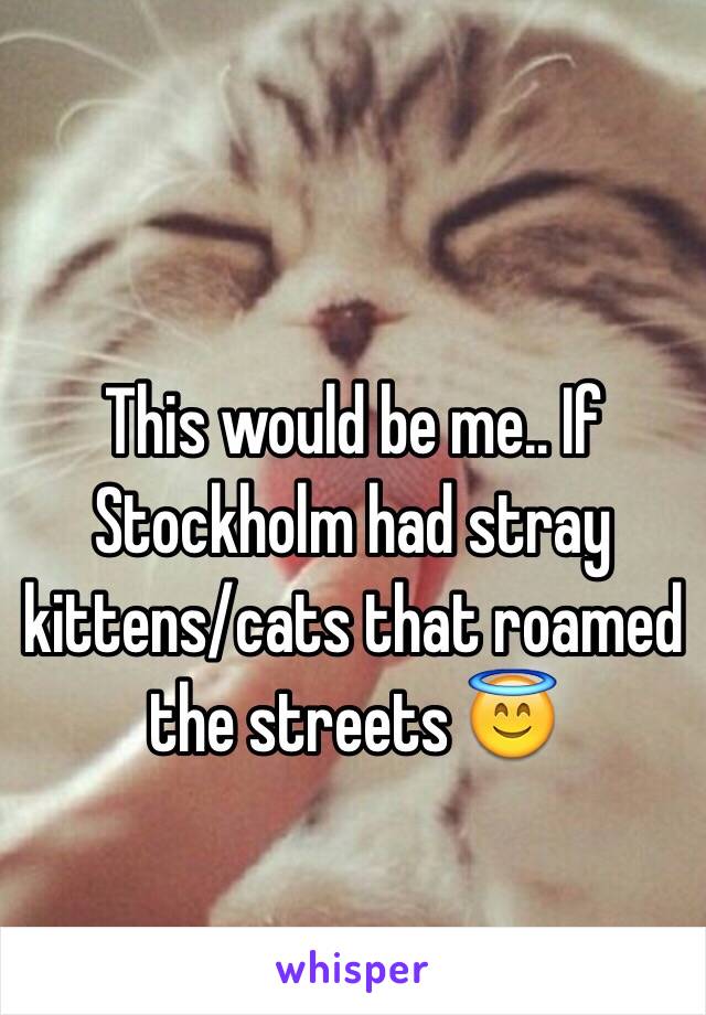 This would be me.. If Stockholm had stray kittens/cats that roamed the streets 😇