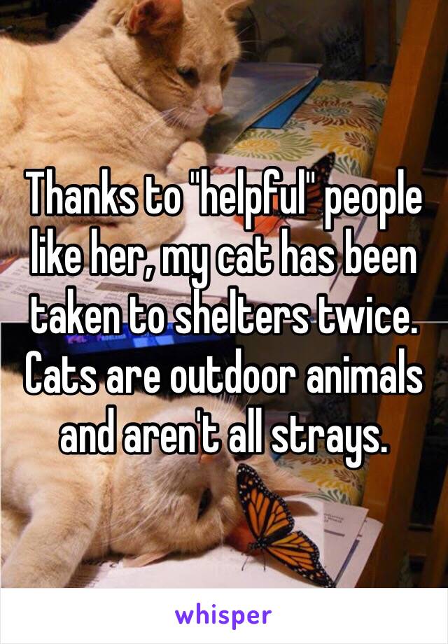 Thanks to "helpful" people like her, my cat has been taken to shelters twice. 
Cats are outdoor animals and aren't all strays. 