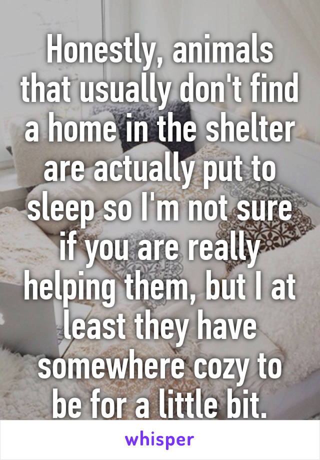 Honestly, animals that usually don't find a home in the shelter are actually put to sleep so I'm not sure if you are really helping them, but I at least they have somewhere cozy to be for a little bit.