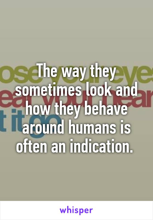 The way they sometimes look and how they behave around humans is often an indication. 
