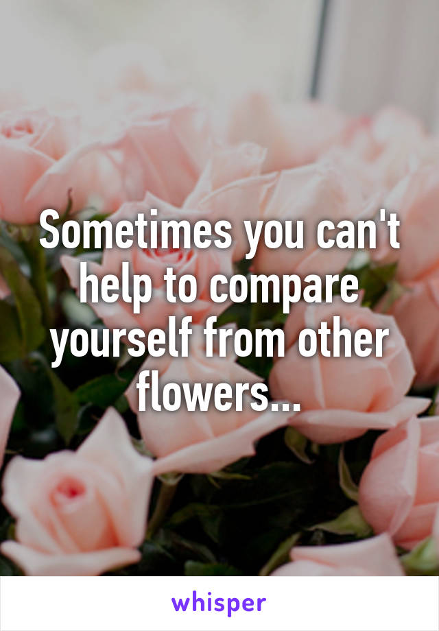 Sometimes you can't help to compare yourself from other flowers...
