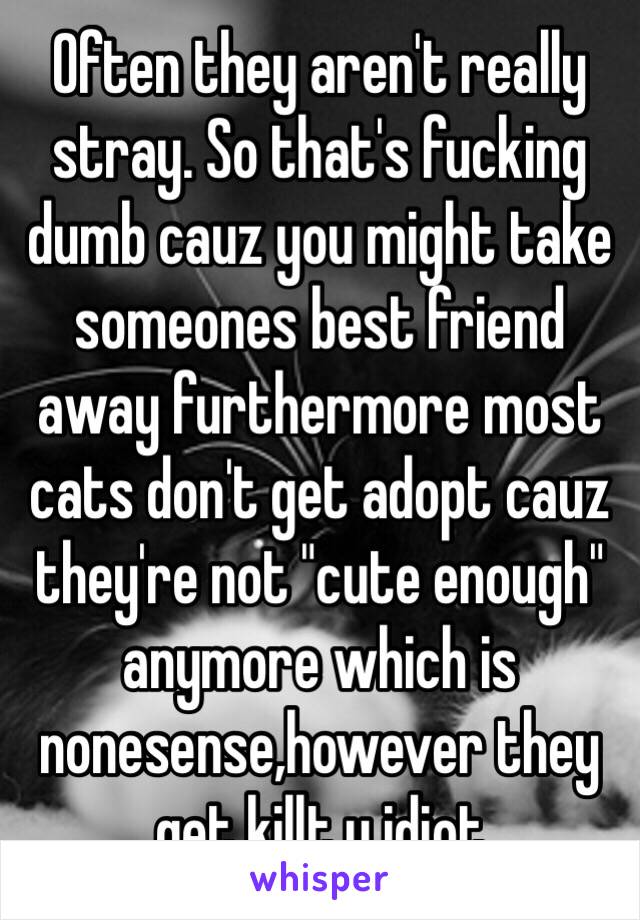 Often they aren't really stray. So that's fucking dumb cauz you might take someones best friend away furthermore most cats don't get adopt cauz they're not "cute enough" anymore which is nonesense,however they get killt u idiot