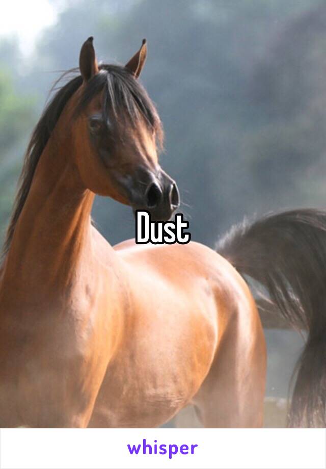 Dust 