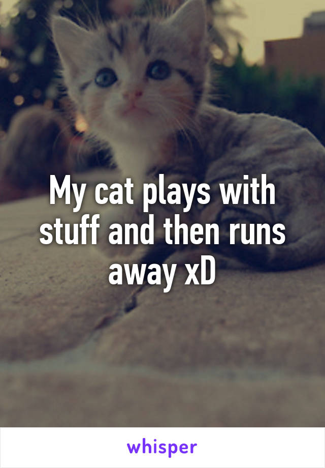 My cat plays with stuff and then runs away xD