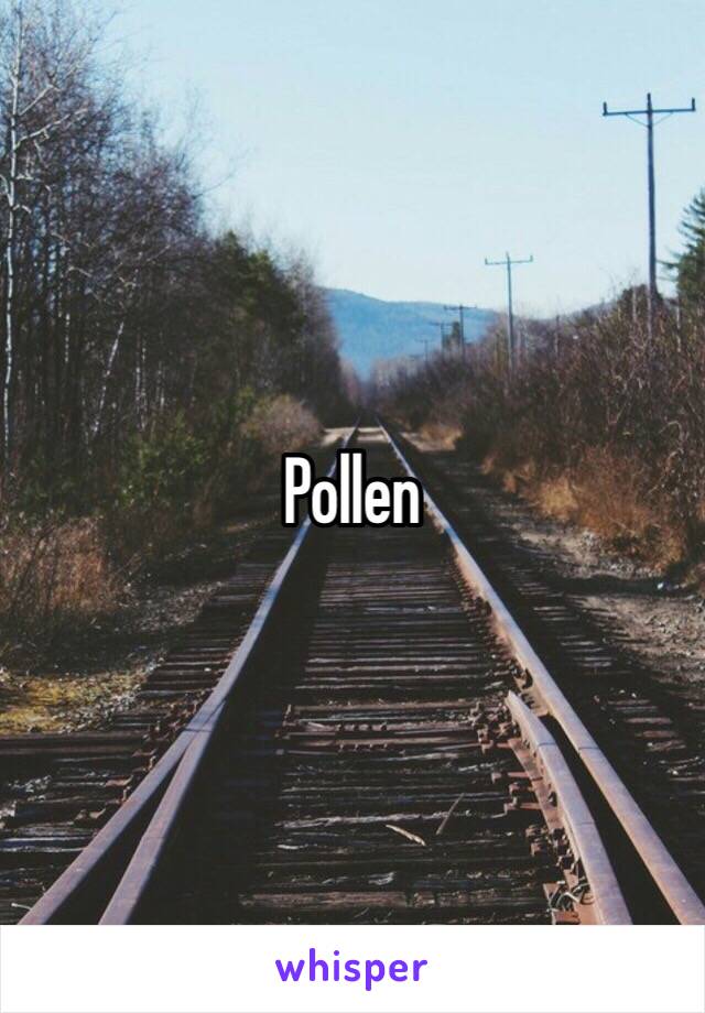 Pollen