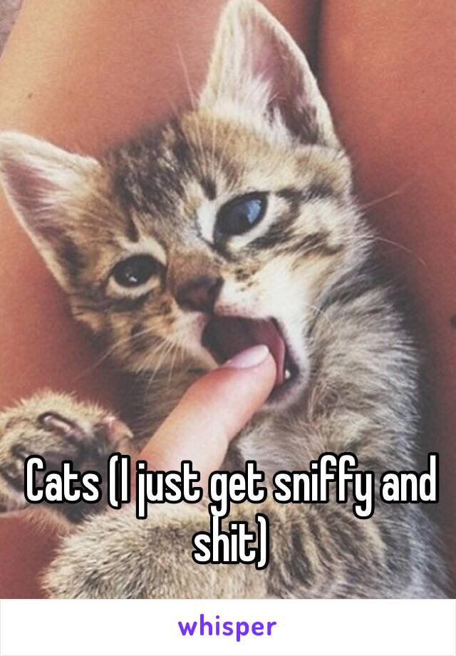 Cats (I just get sniffy and shit)
