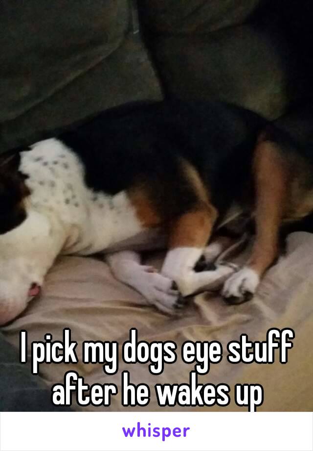 I pick my dogs eye stuff after he wakes up 