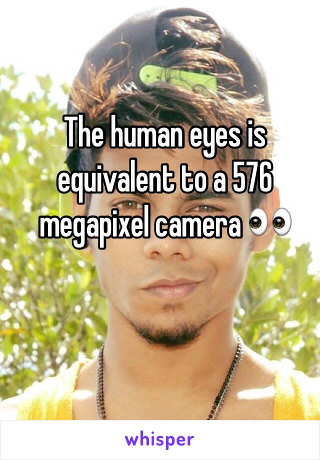 The human eyes is equivalent to a 576 megapixel camera 👀 