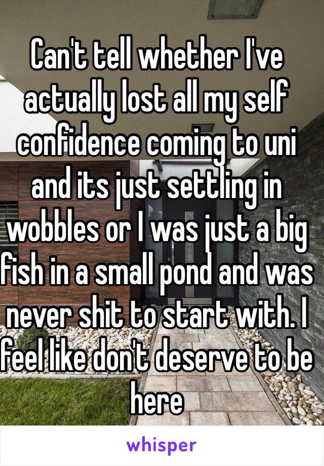 Can't tell whether I've actually lost all my self confidence coming to uni and its just settling in wobbles or I was just a big fish in a small pond and was never shit to start with. I feel like don't deserve to be here