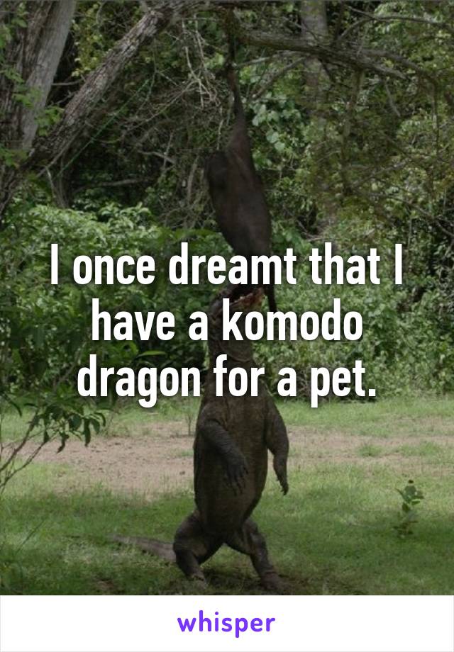 I once dreamt that I have a komodo dragon for a pet.