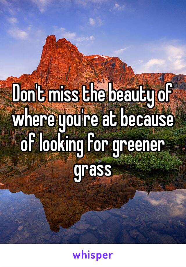 Don't miss the beauty of where you're at because of looking for greener grass 