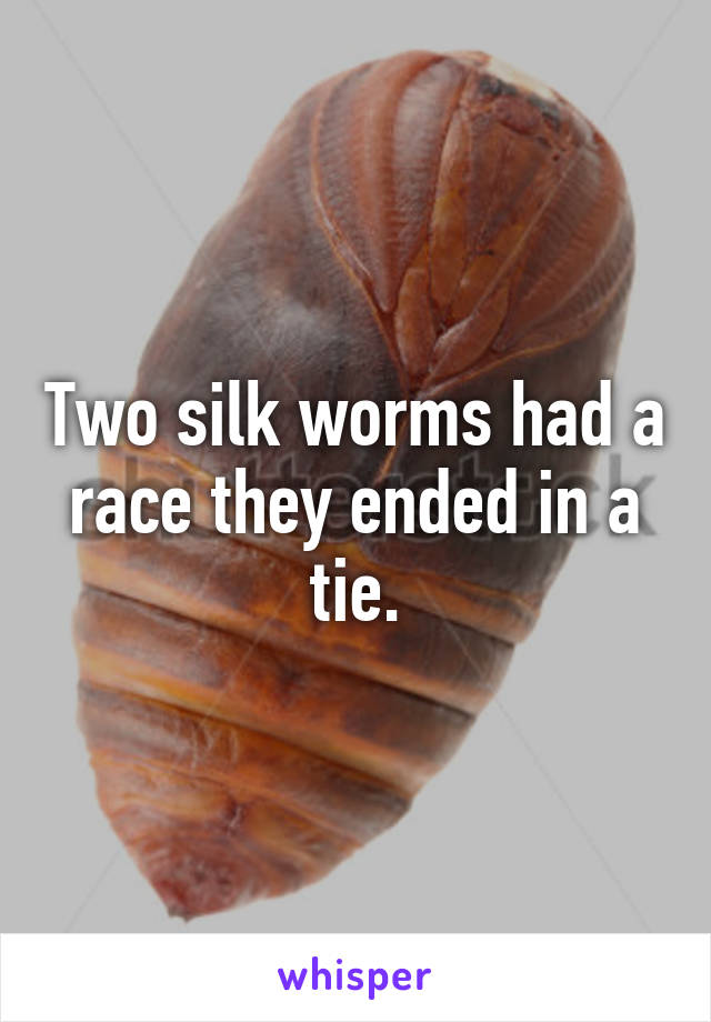 Two silk worms had a race they ended in a tie.