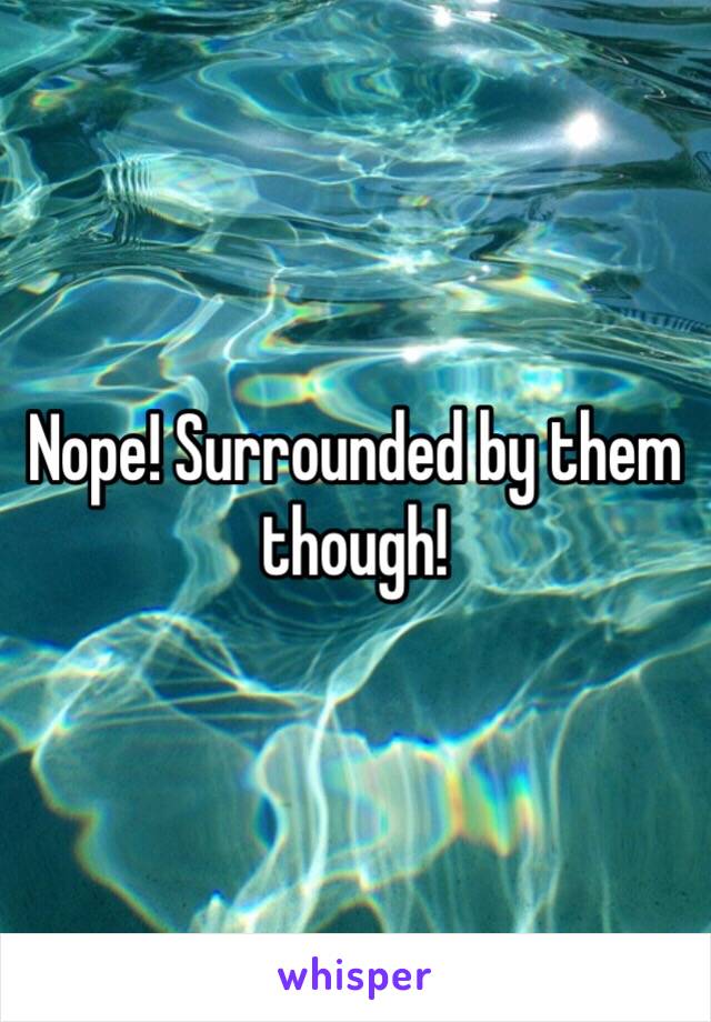 Nope! Surrounded by them though!