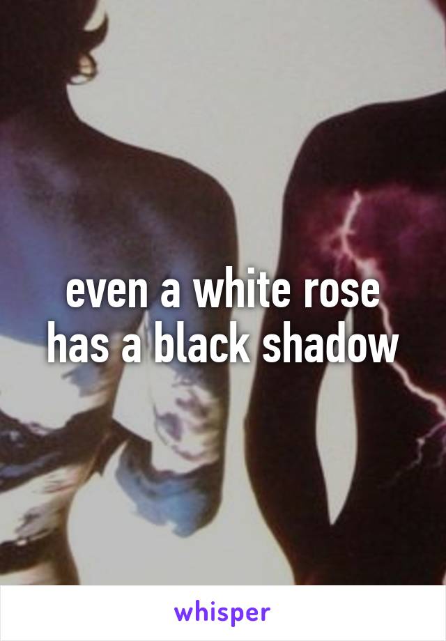 even a white rose has a black shadow