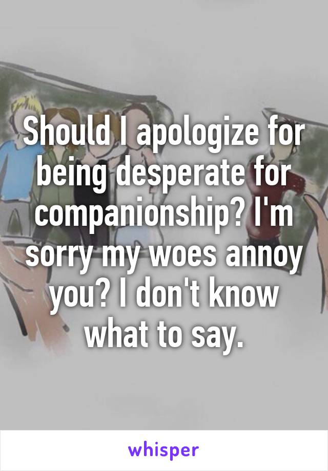 Should I apologize for being desperate for companionship? I'm sorry my woes annoy you? I don't know what to say.