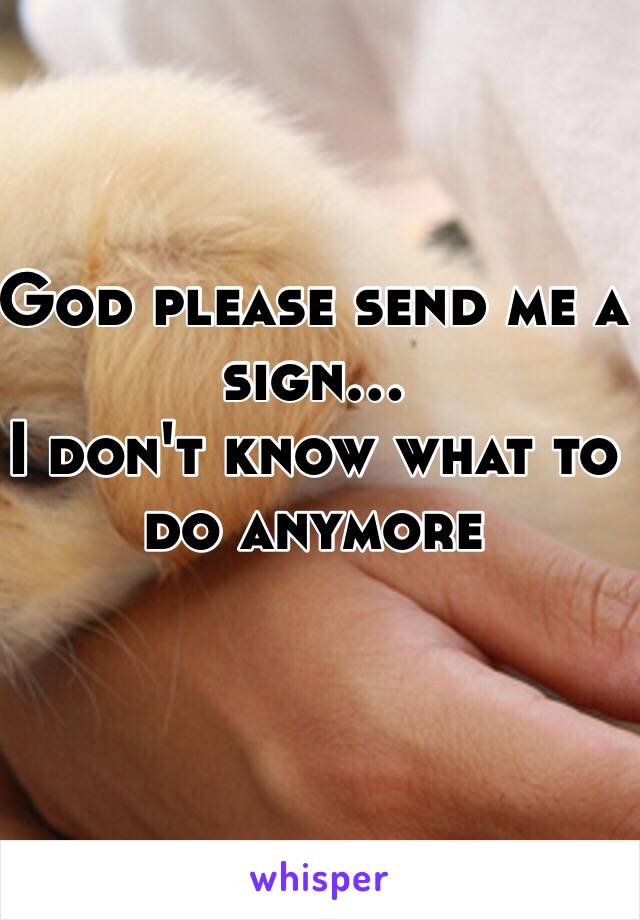 God please send me a sign... 
I don't know what to do anymore 